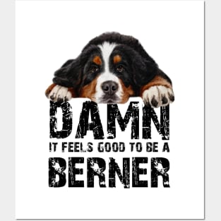 bernese mountain dog Posters and Art